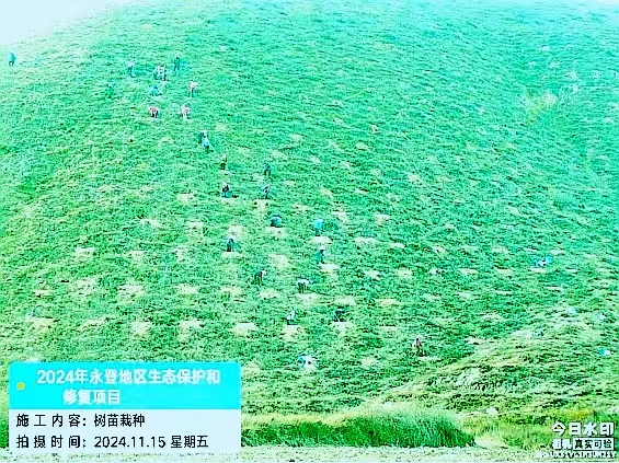 甘肃恒盛永登县退化林修复项目